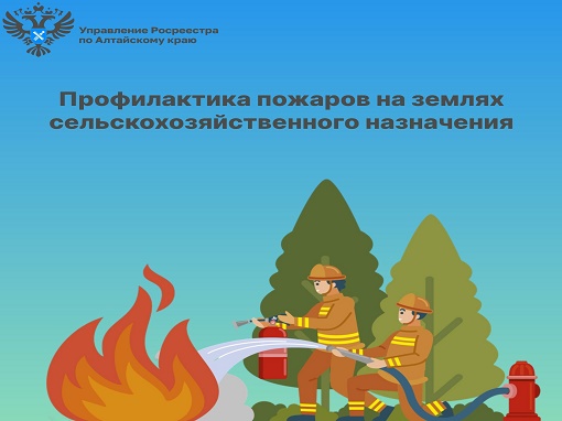 Безымянный